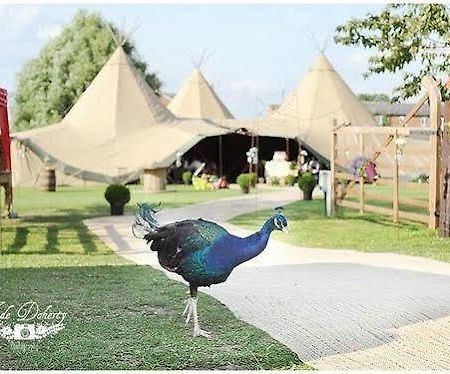 Skipbridge Farm Shepherds Huts Campground Green Hammerton Extérieur photo