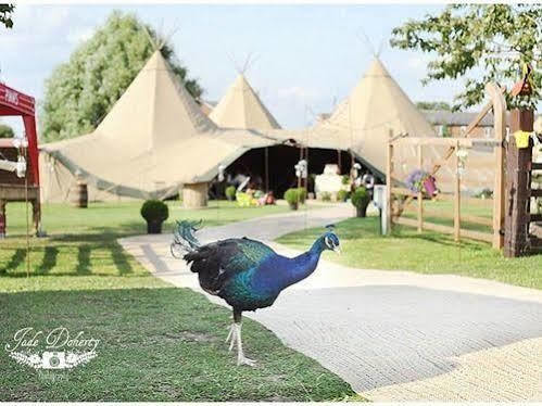 Skipbridge Farm Shepherds Huts Campground Green Hammerton Extérieur photo