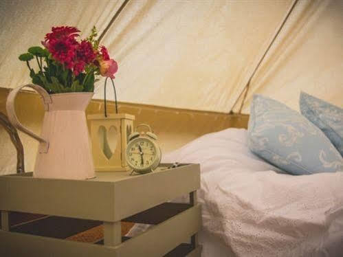 Skipbridge Farm Shepherds Huts Campground Green Hammerton Extérieur photo
