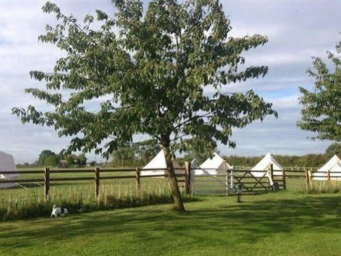 Skipbridge Farm Shepherds Huts Campground Green Hammerton Extérieur photo
